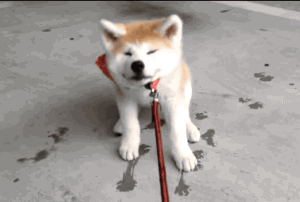 Ӳ